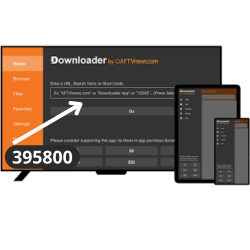 Ouvrez Downloader et tapez 395800 puis appuyez sur Go